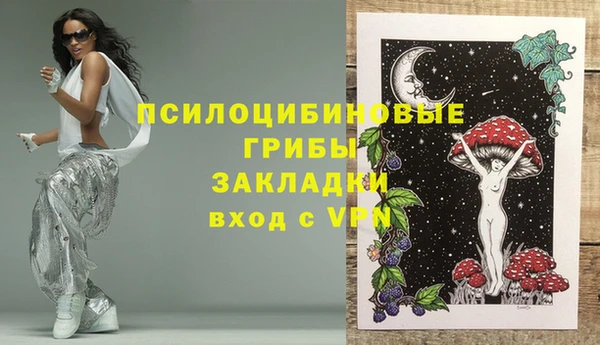 а пвп мука Инсар