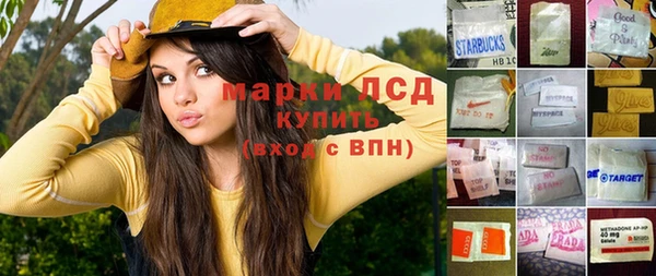 крисы Каменногорск